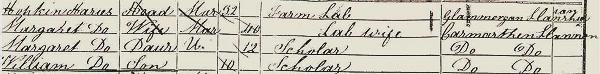 Hopkin Harries 1851 Census