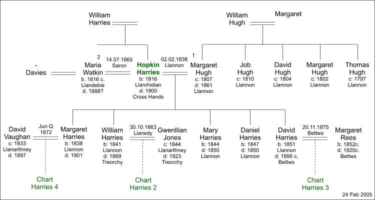 Hopkin Harries [1816 - 1900]